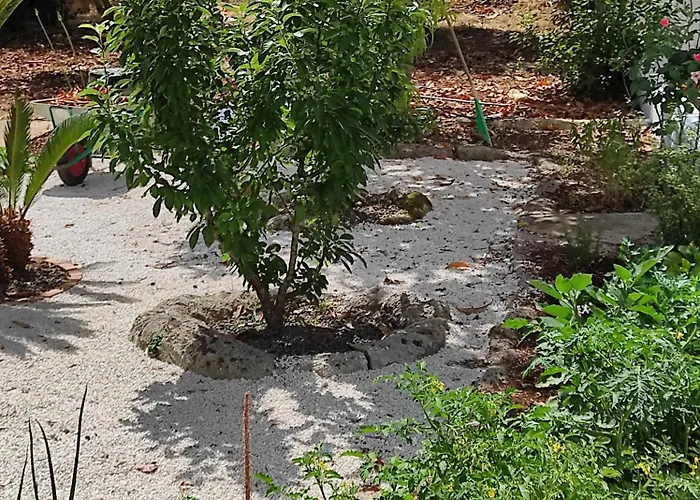 Alojamento de Acomodação e Pequeno-almoço A_casa_da_leo La Correggia